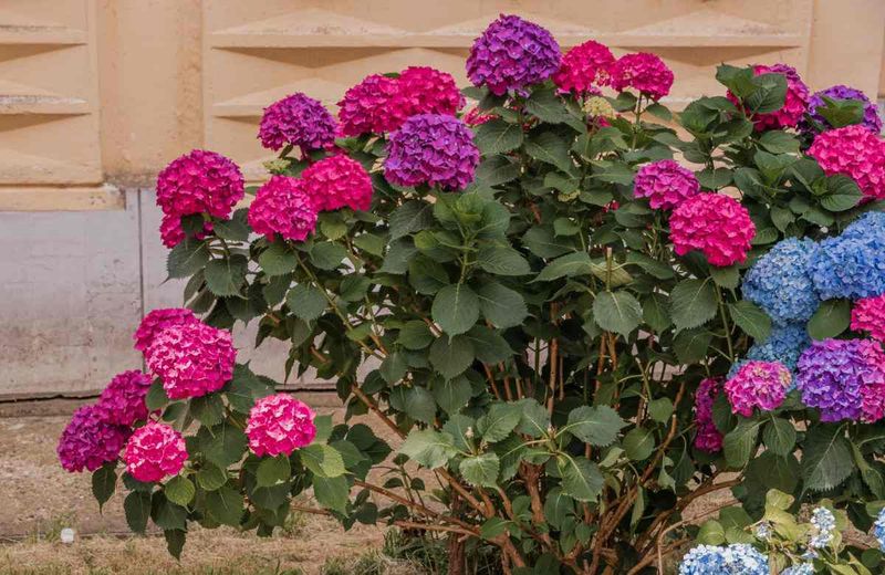 Encourage Late-Season Growth