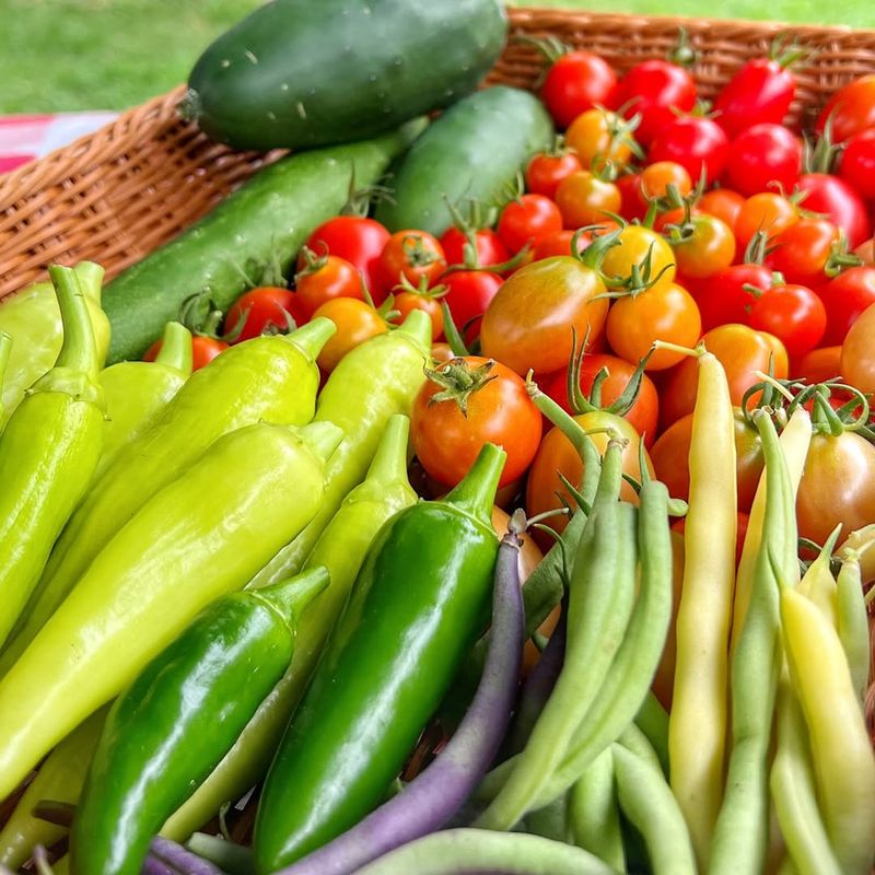 Harvest correctly