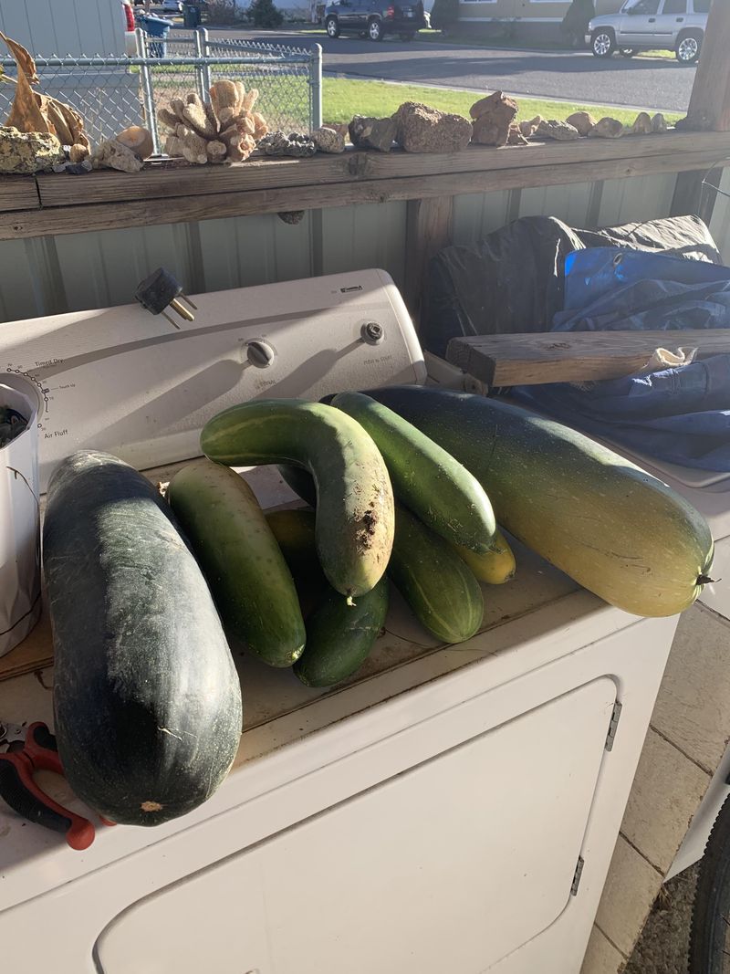 Harvesting Best Practices