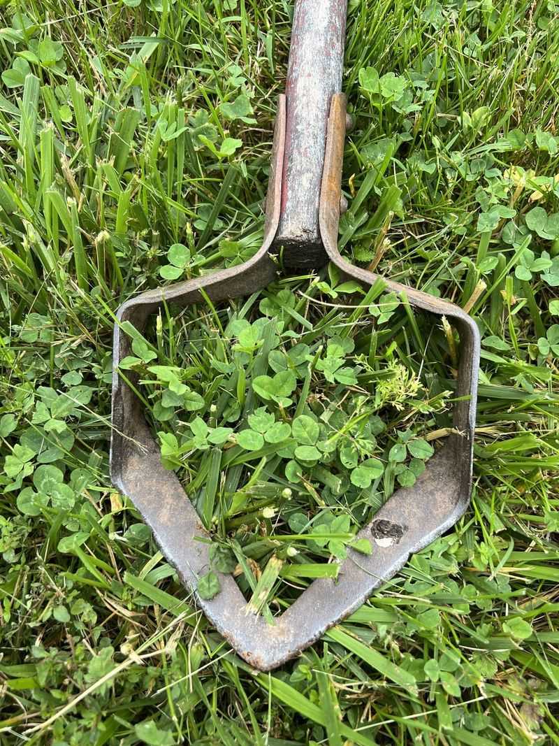Use A Hoe For Surface Weeds