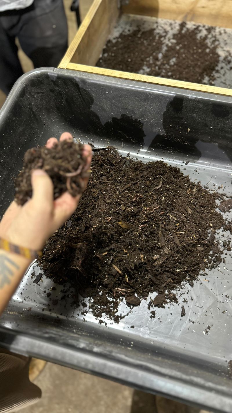 Worm Castings
