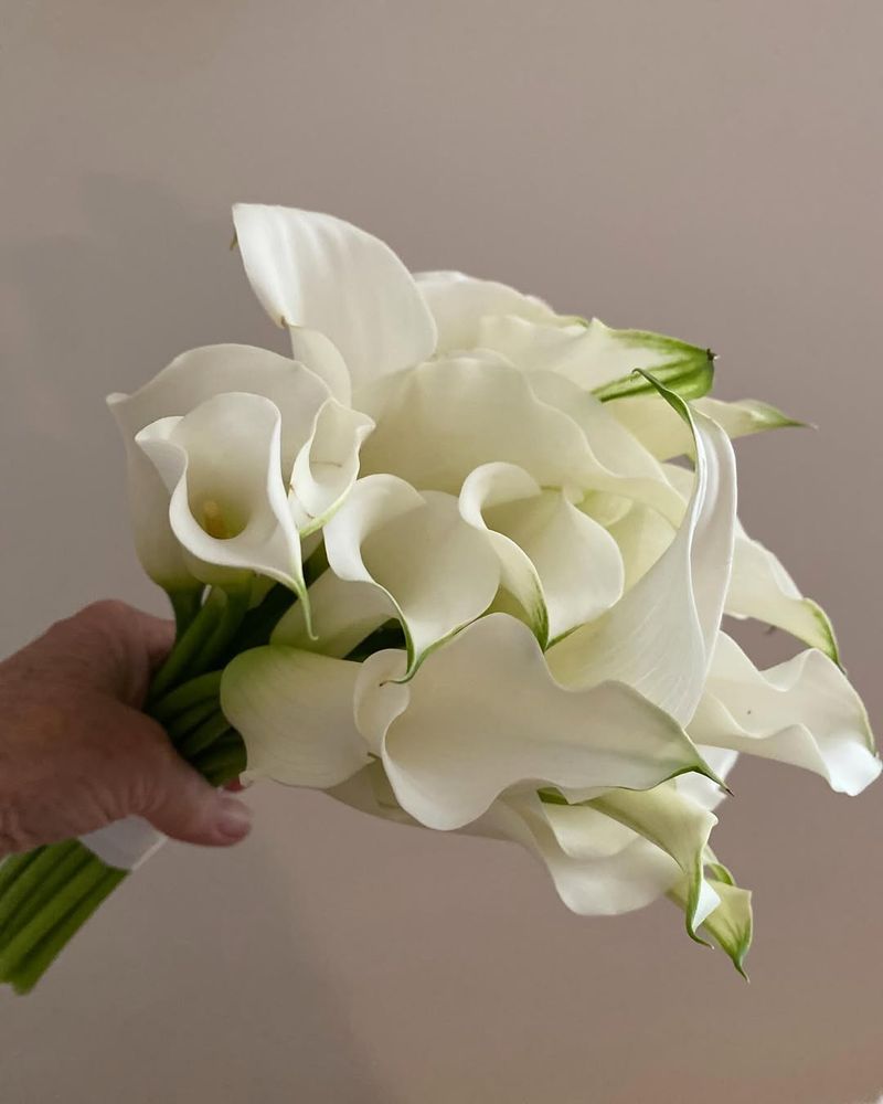 Calla Lilies