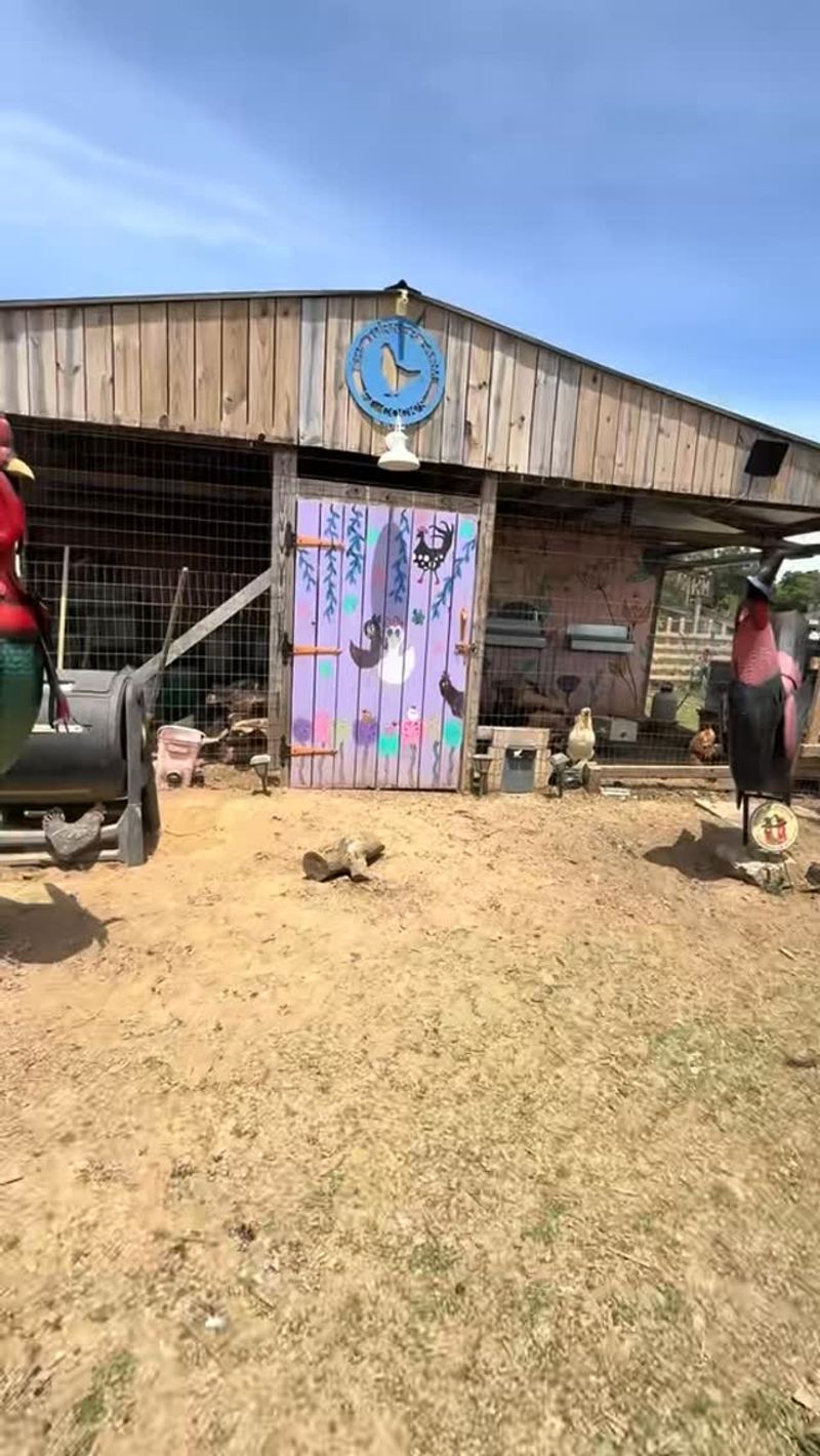 Chicken Coops