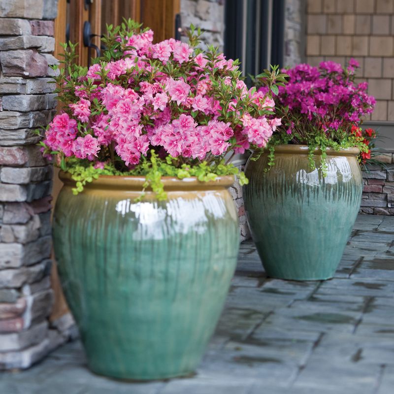 Container Gardens