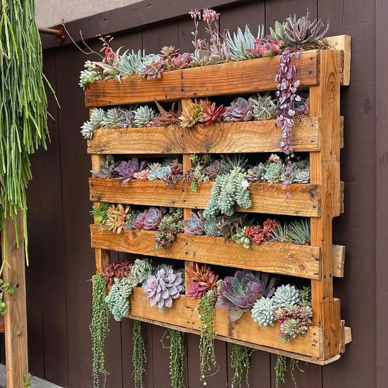 Vertical Pallet Gardens