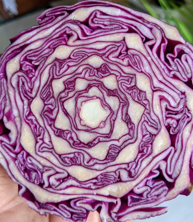 Purple Cabbage