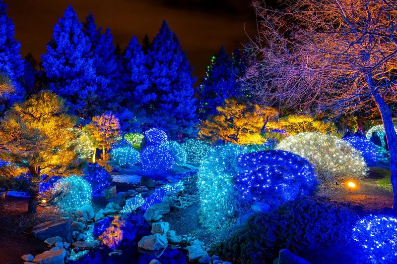 Holiday Light Displays with Excessive Energy Use