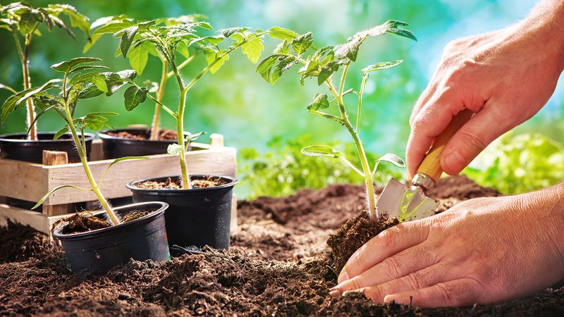 Lowering PH In Alkaline Conditions