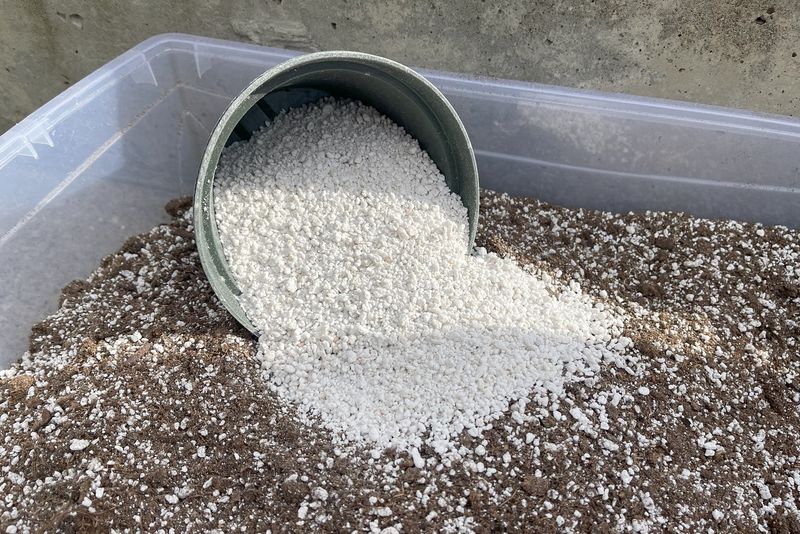 Perlite Or Vermiculite