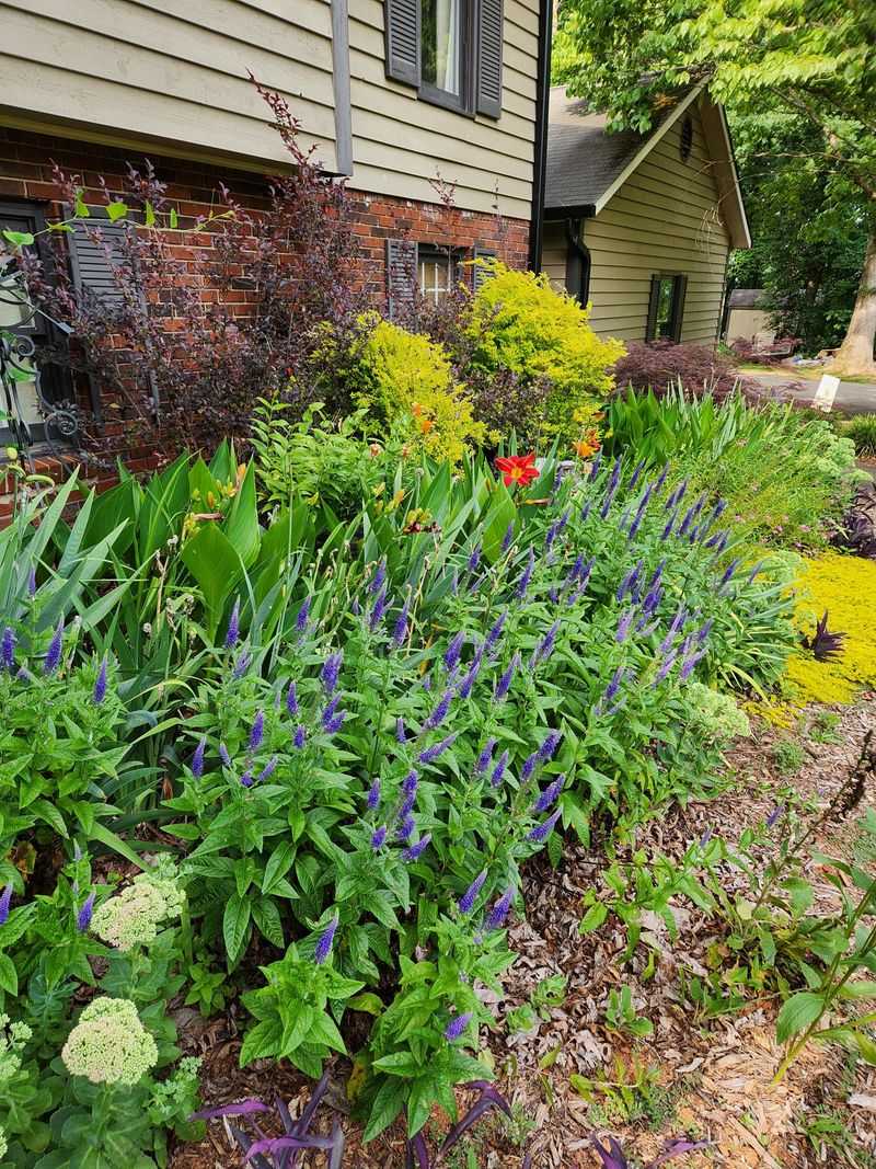 Limited Blooming Periods