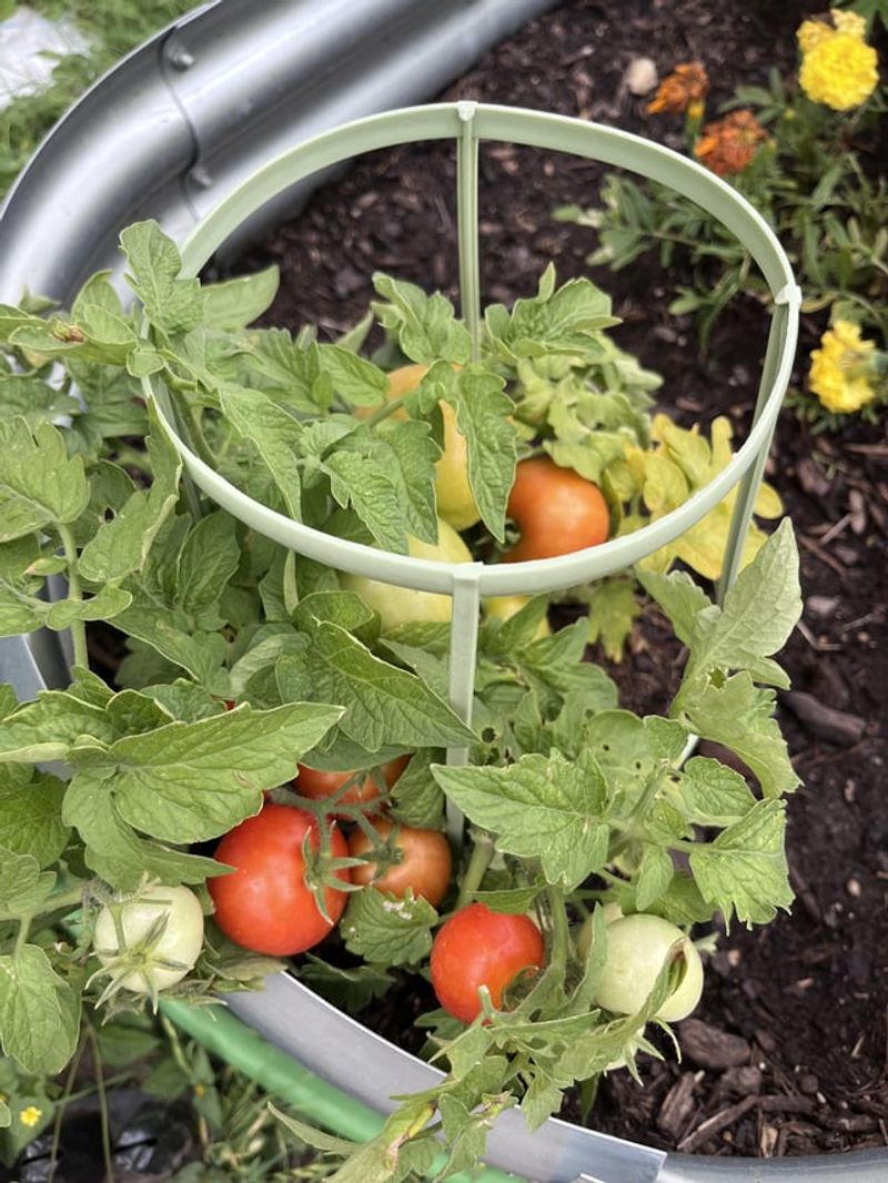 Weather-Proof Your Food Supply