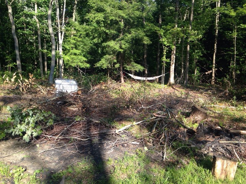 Brush Piles