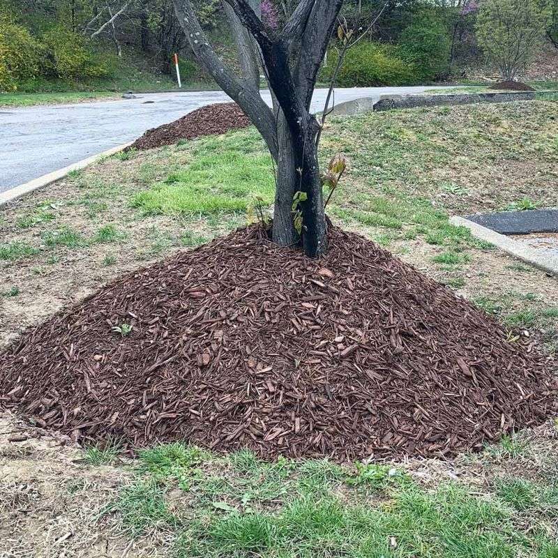 Wasteful Use of Resources
