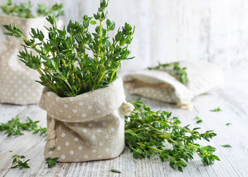 Increases Essential Oil Production