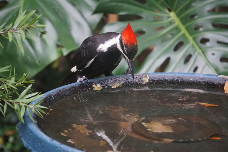 Less Comfortable Bathing Experience