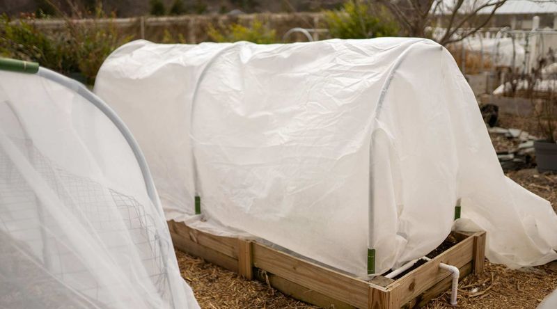 Temporary Tunnels