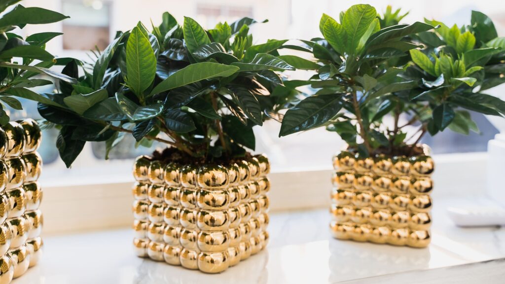 Reflective planters