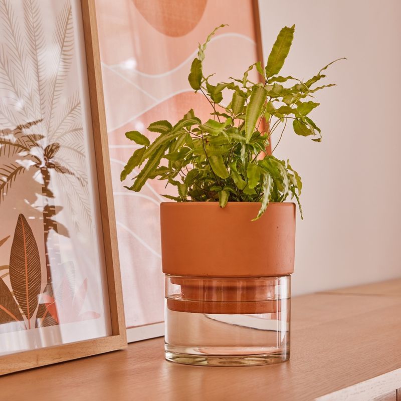 Use Self-Watering Containers