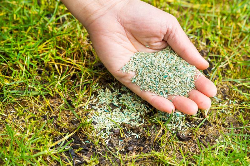 Reseed with Matching Grass