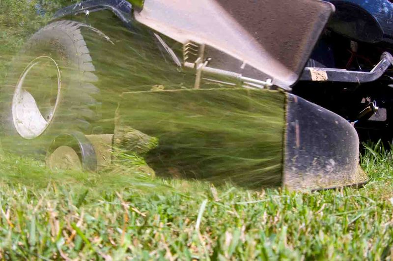 Bagging Grass Clippings