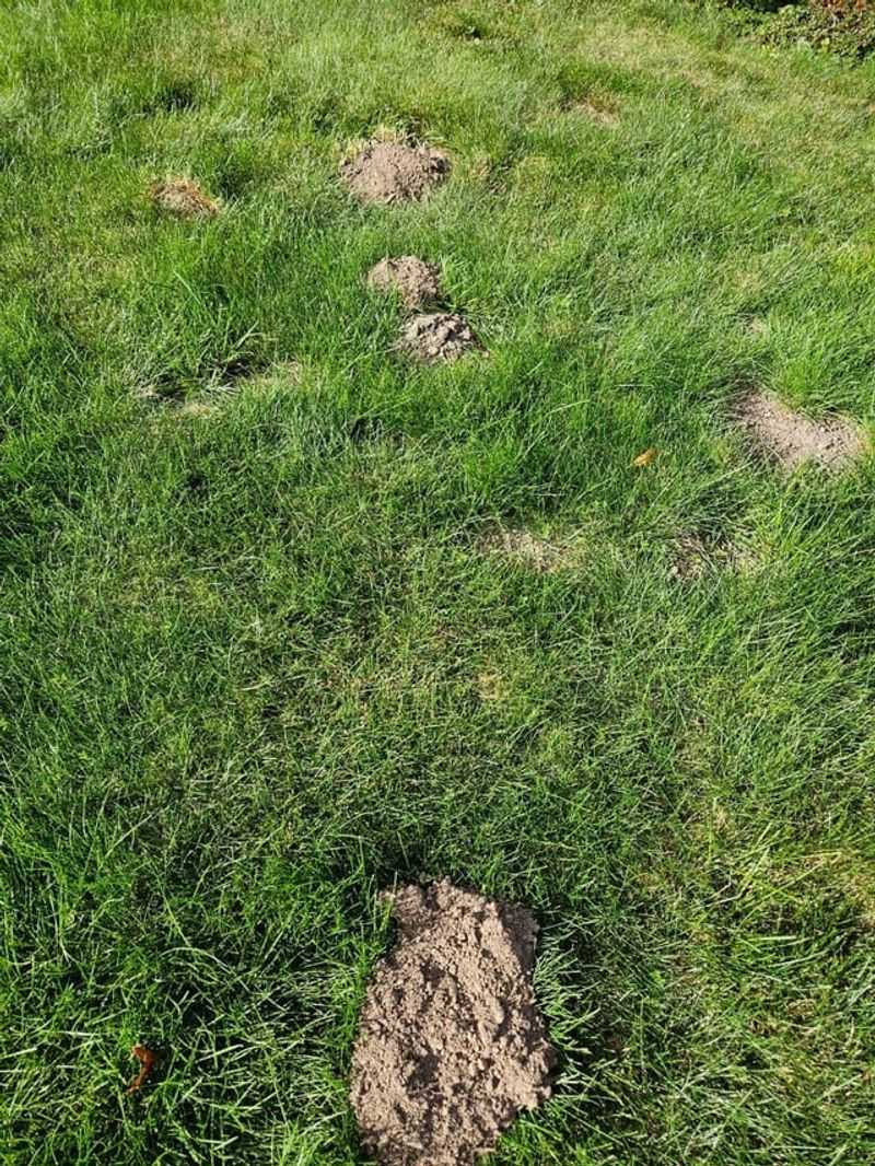 Employ Spot Digging Techniques