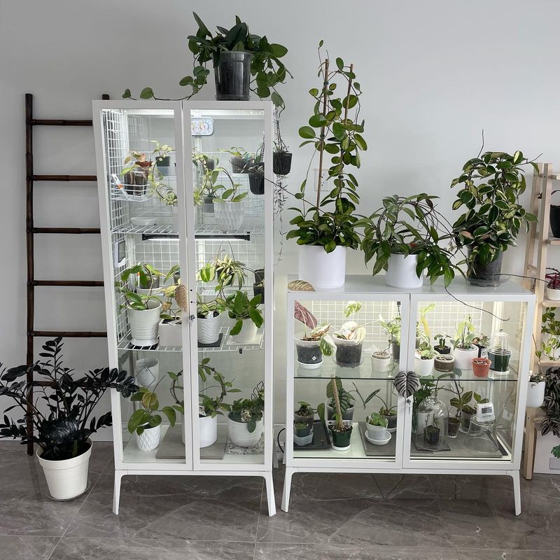Corner Shelf Space Maximizers