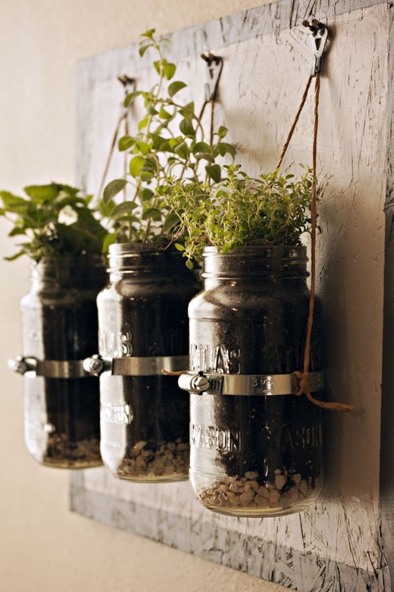 Mason Jar Wall Garden