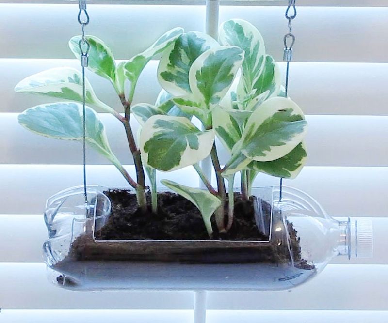 Vertical Hanging Bottle Garden