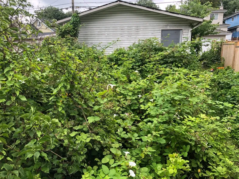 Reduces Property Value