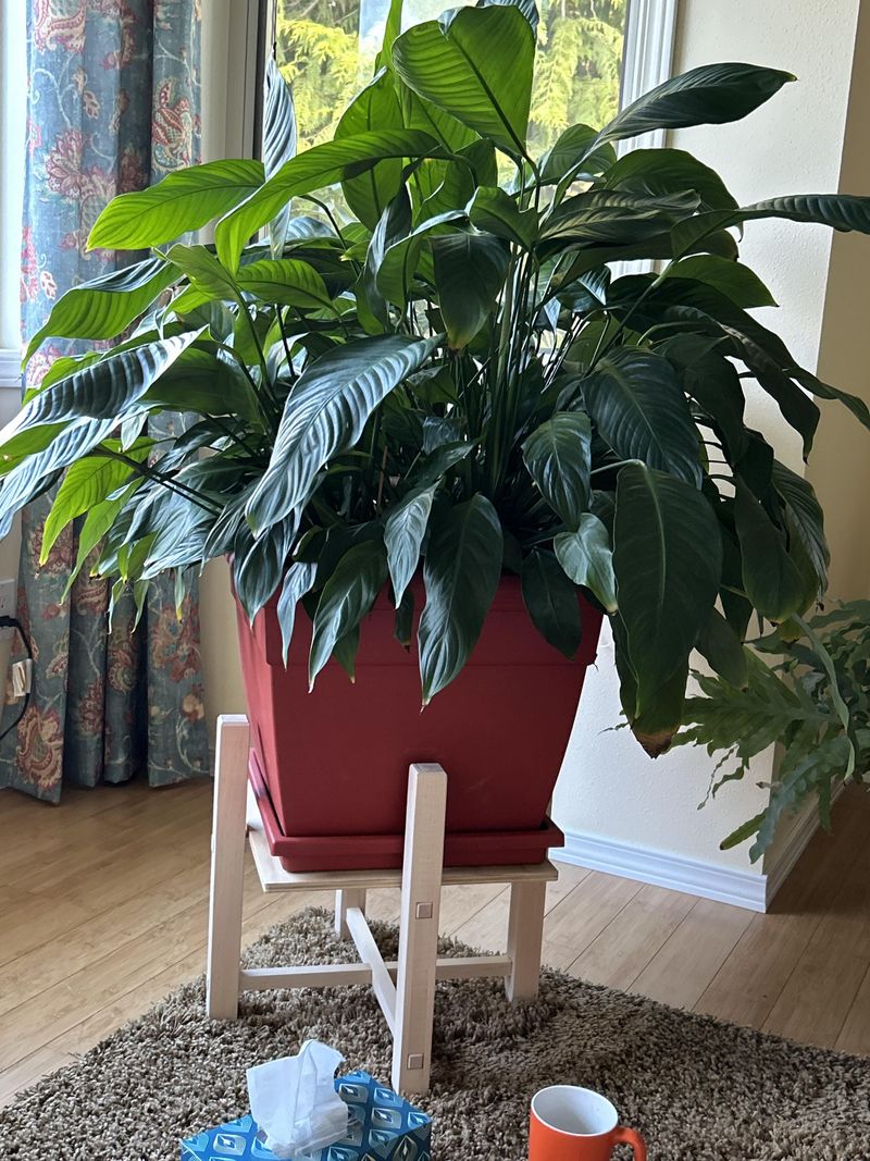 Identify Water pH Issues
