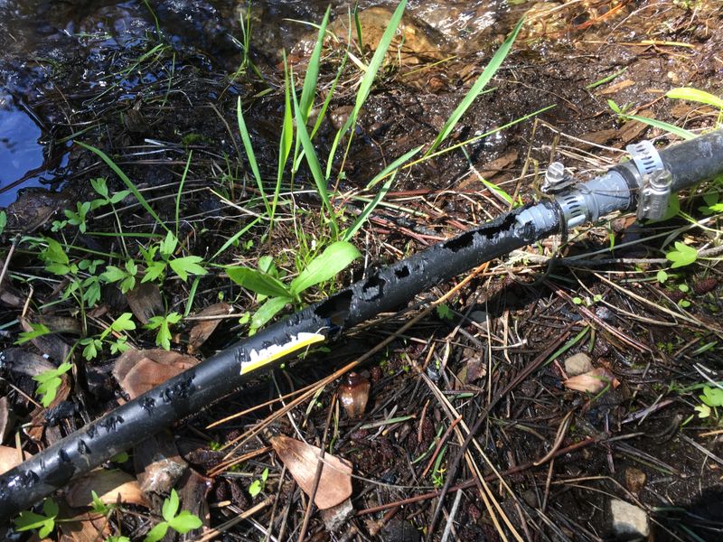 Irrigation System Damage