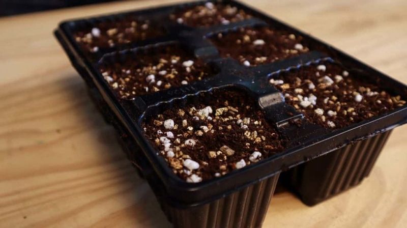 Mix Your Own Seed Starting Medium