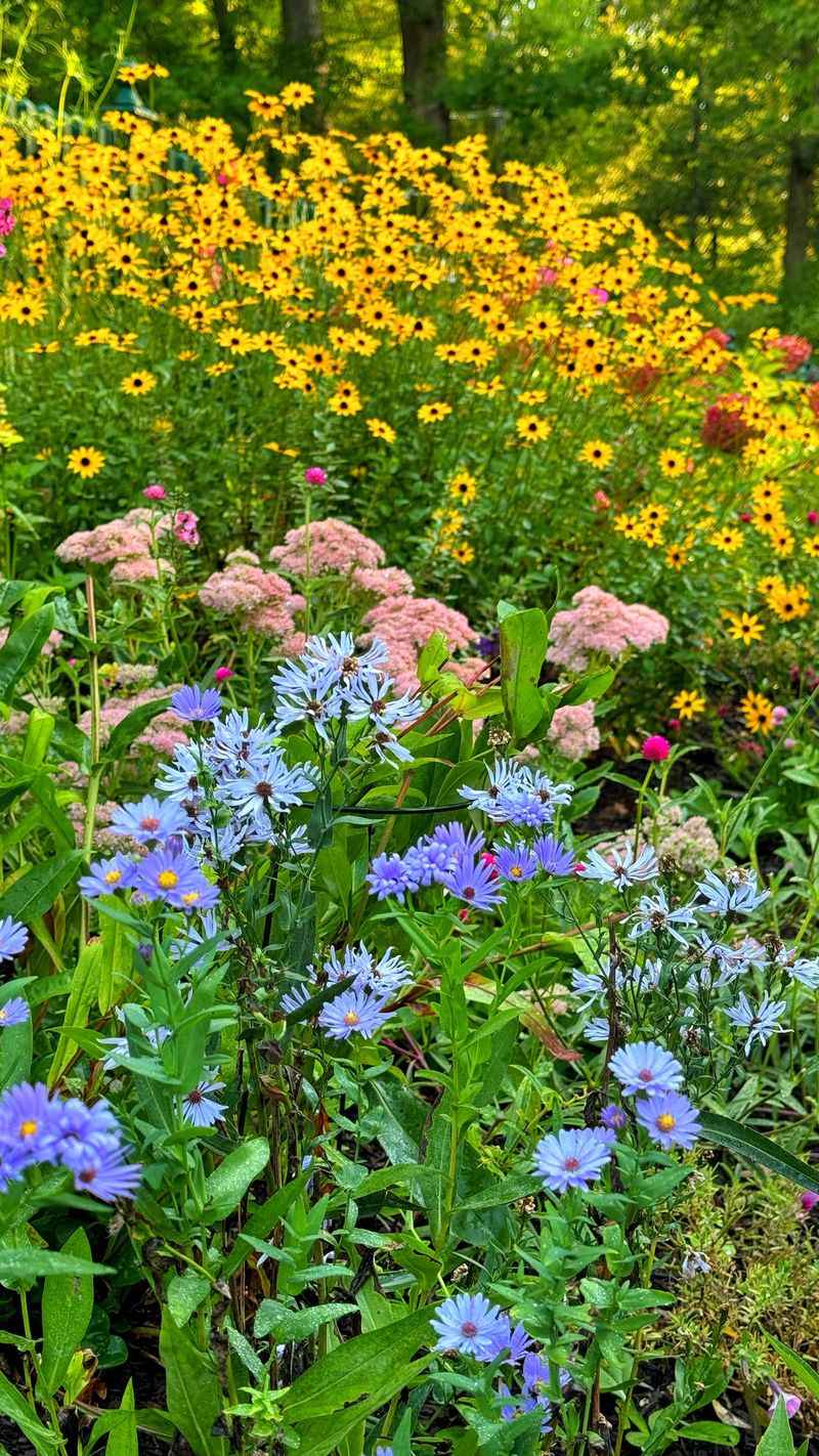 Native Plants Thrive With Little Help