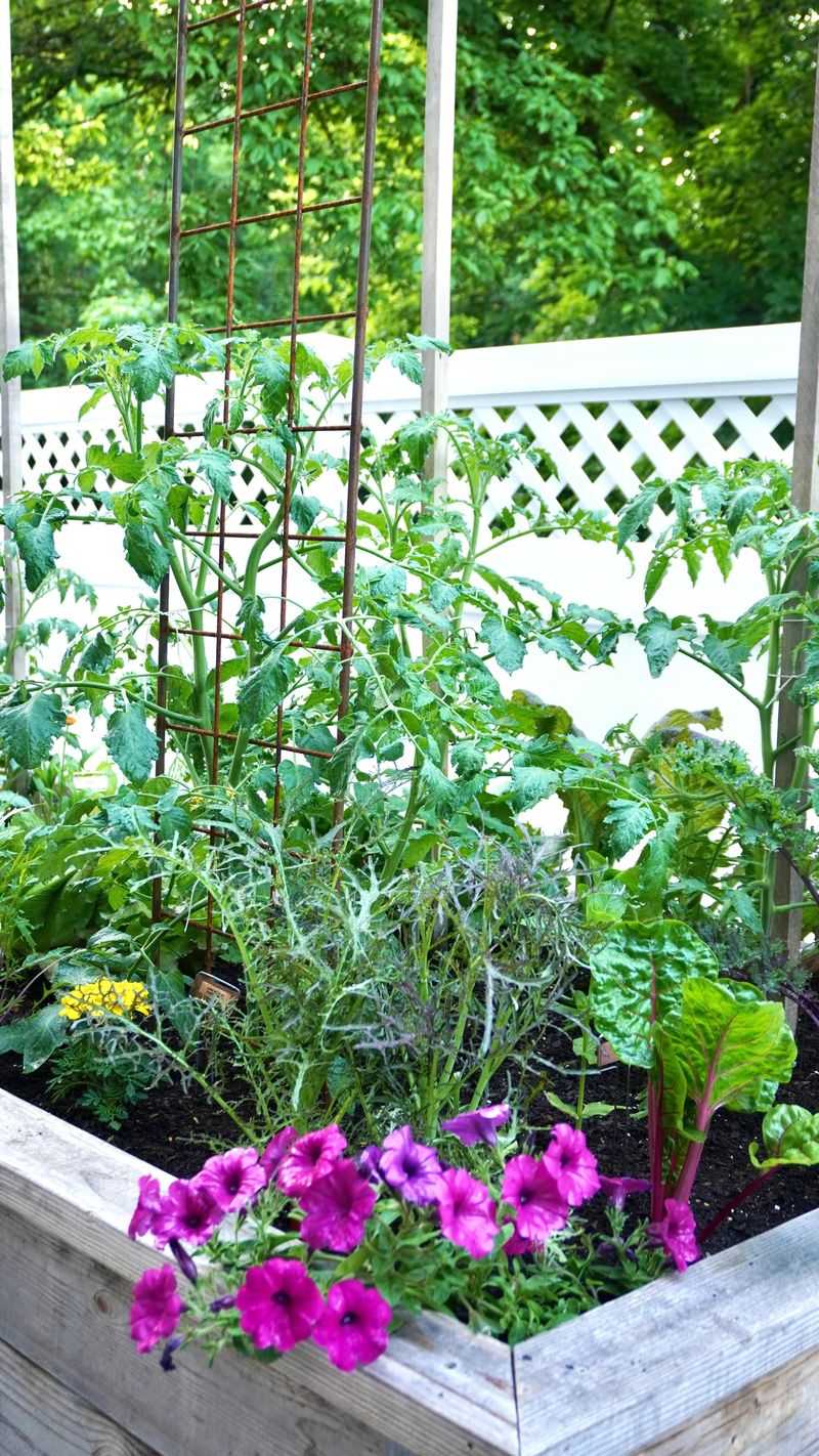 Raised Bed Flowers