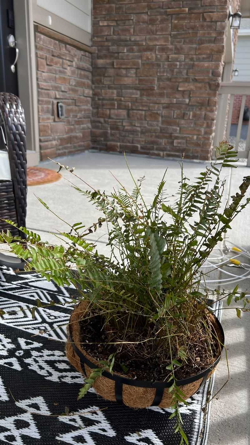 Create A Watering Schedule