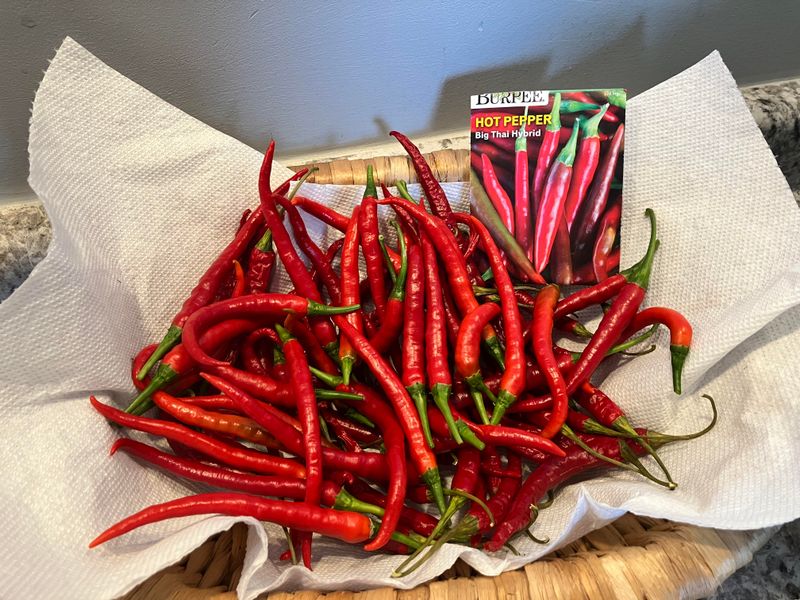 Hot Peppers
