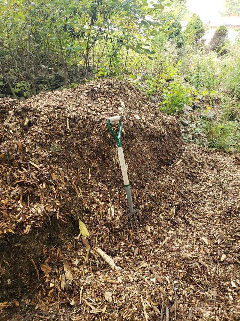 Fresh Wood Chips