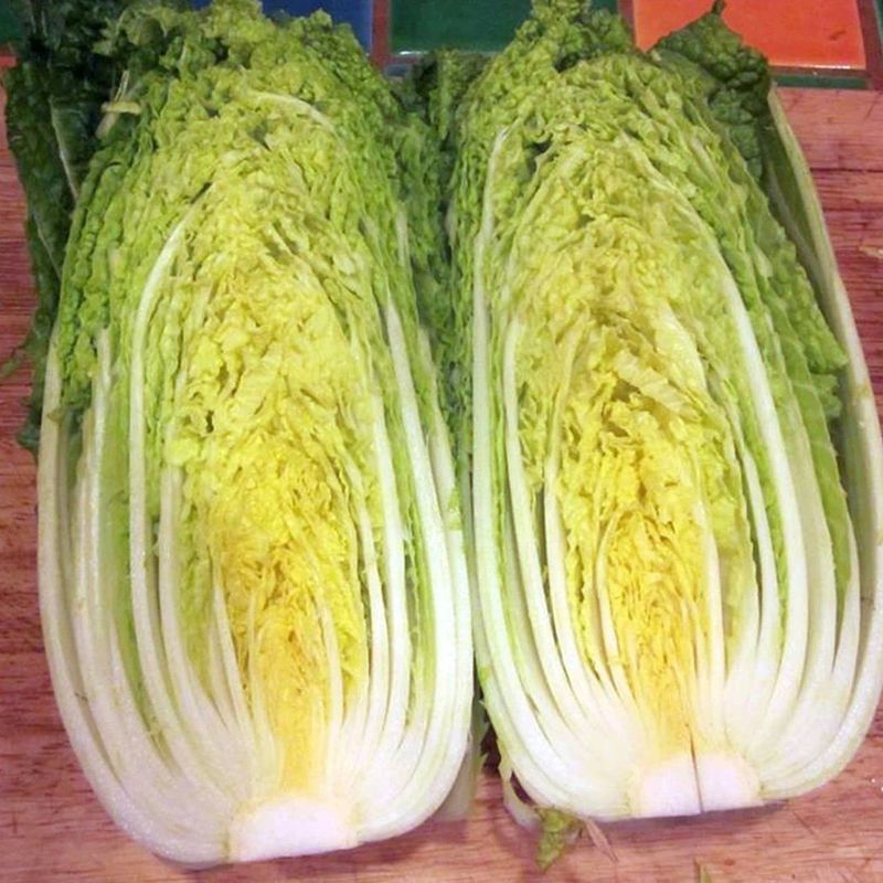 Chinese Cabbage