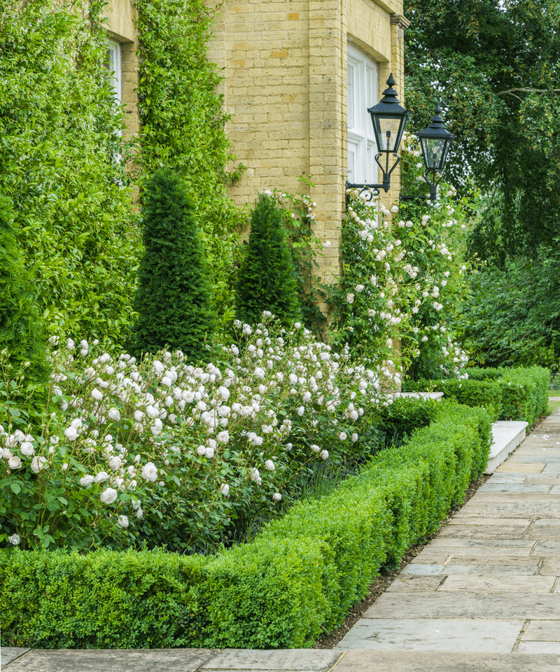 Boxwood: Structured Support