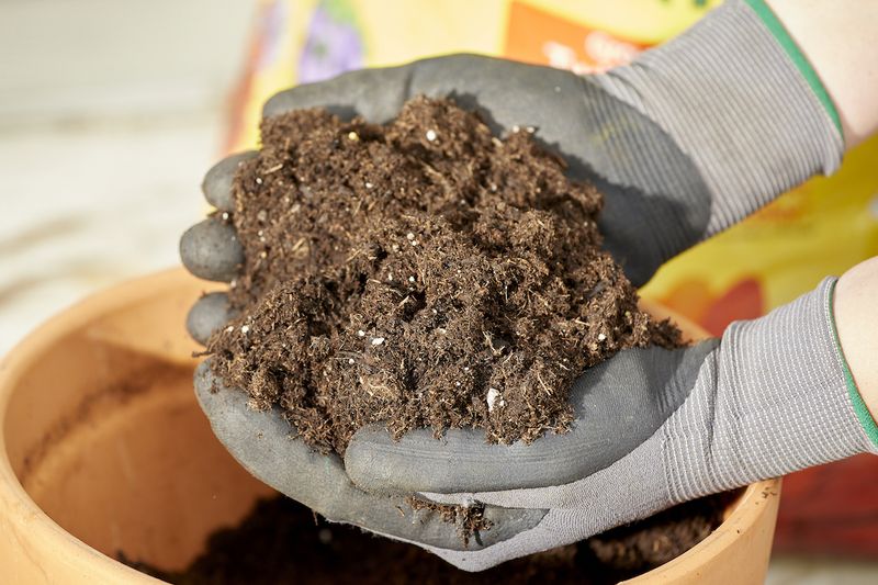 Garden Soil From Your Yard