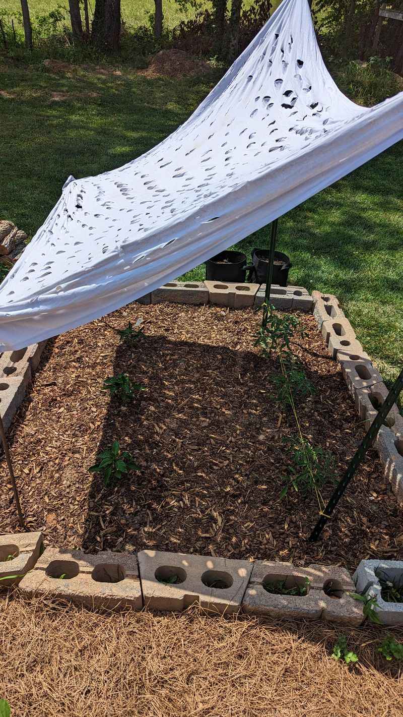 Create Shade With Repurposed Materials