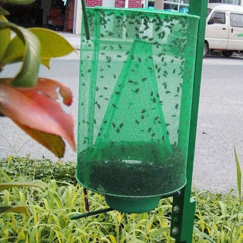 Try Commercial Fly Traps