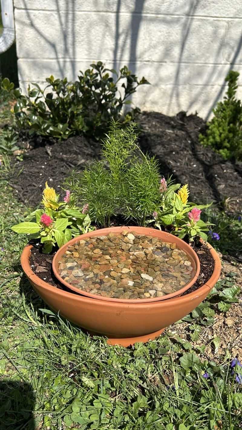 Add Decorative Stones