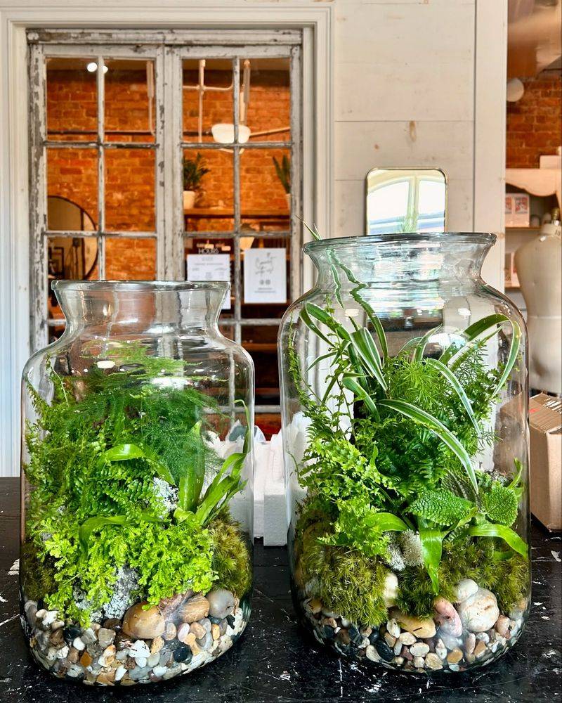 Vintage Jar Terrarium Garden