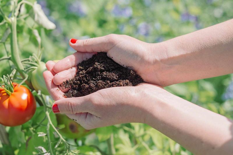Coffee Grounds Mulch