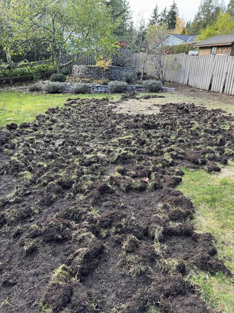 Soil Aerators