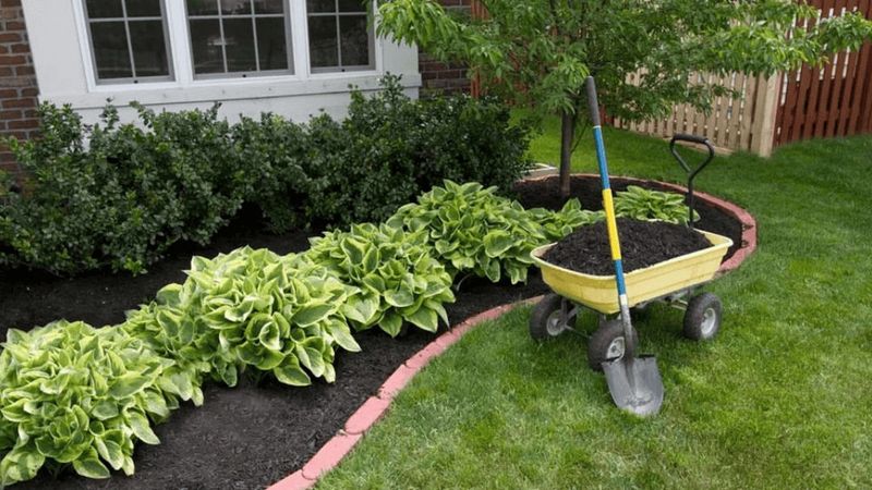 Beautify Your Space Affordably