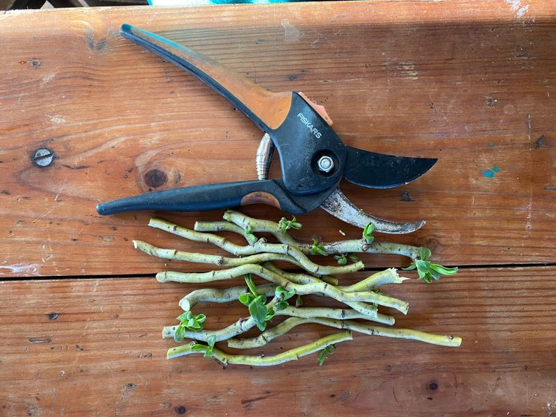 Gather Your Tools