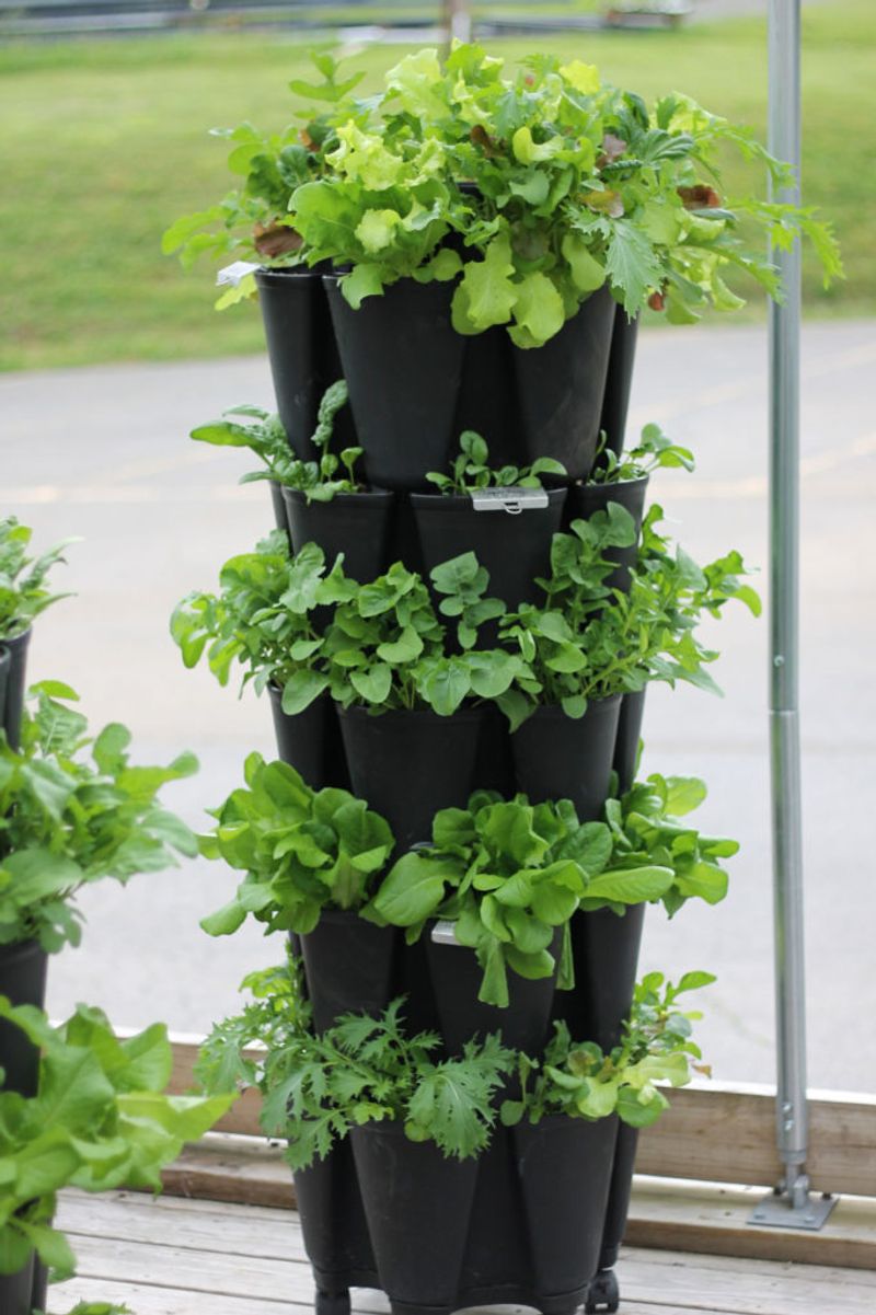 Use Lightweight, Nutrient-Rich Soil