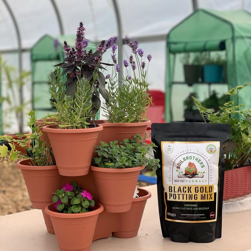 Use Premium Potting Mix